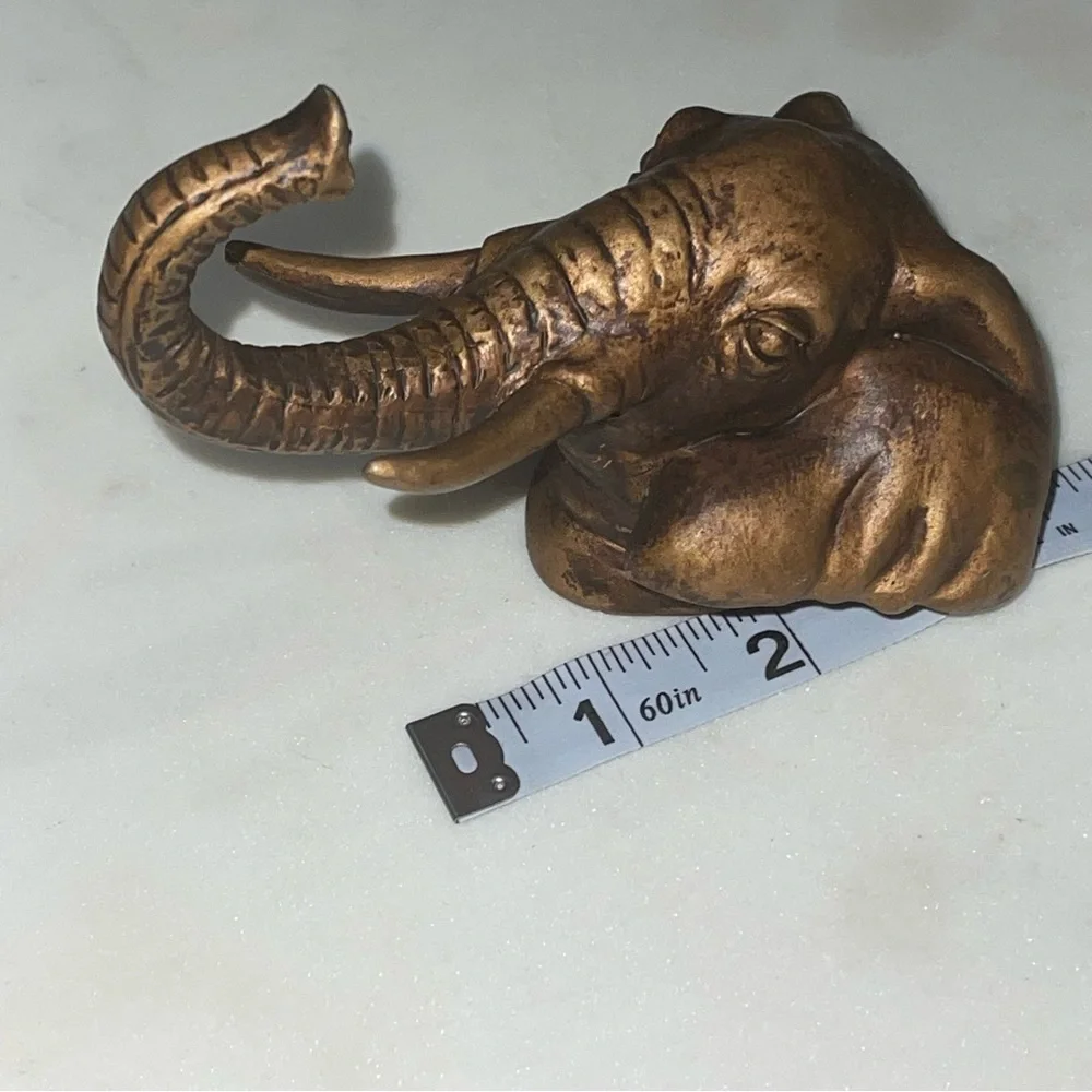 Wall Safari Decor